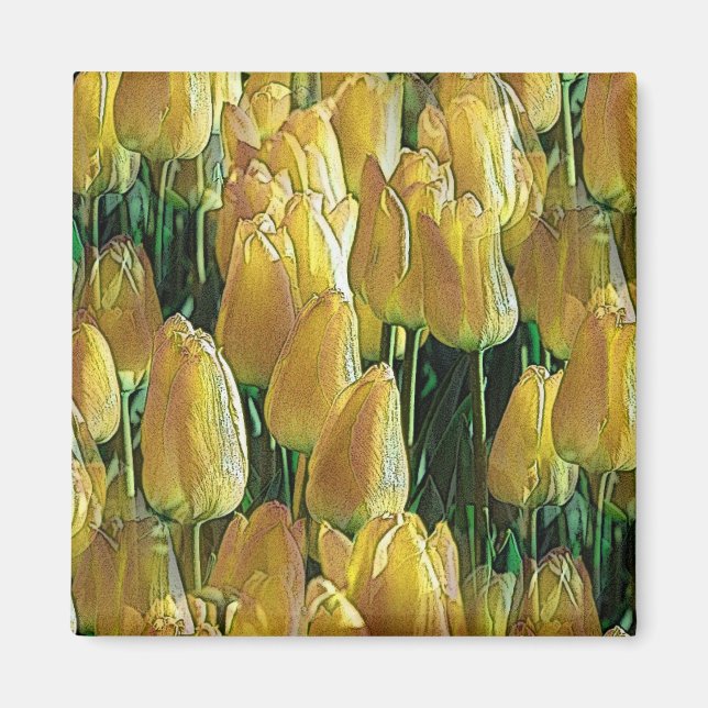 Sunshine Yellow Tulips Magnet (Front)