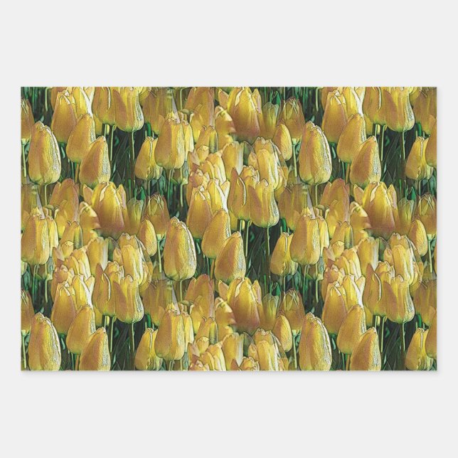 Sunshine Yellow Tulips Wrapping Paper Sheet (Front)
