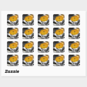 Sunshine's on its way, umbrella avalanche, square sticker