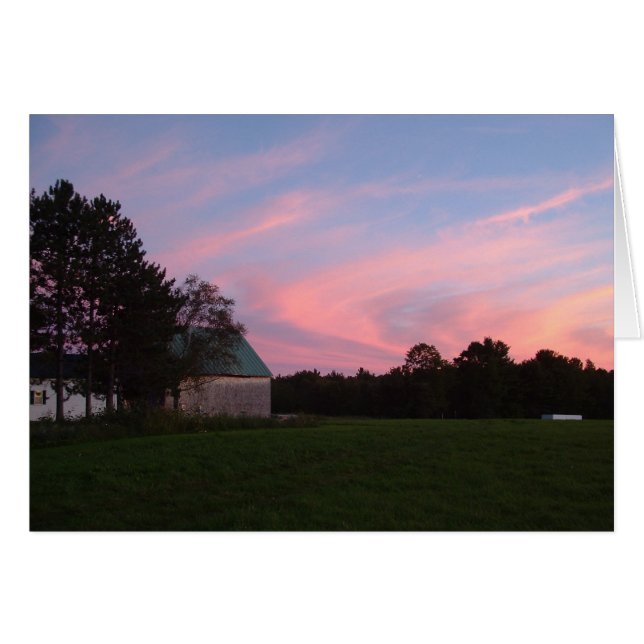 Sunswirl (Front Horizontal)