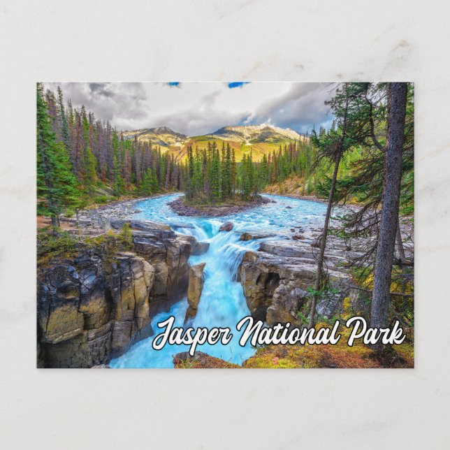 Sunwapta Falls, Jasper National Park Postcard (Front)