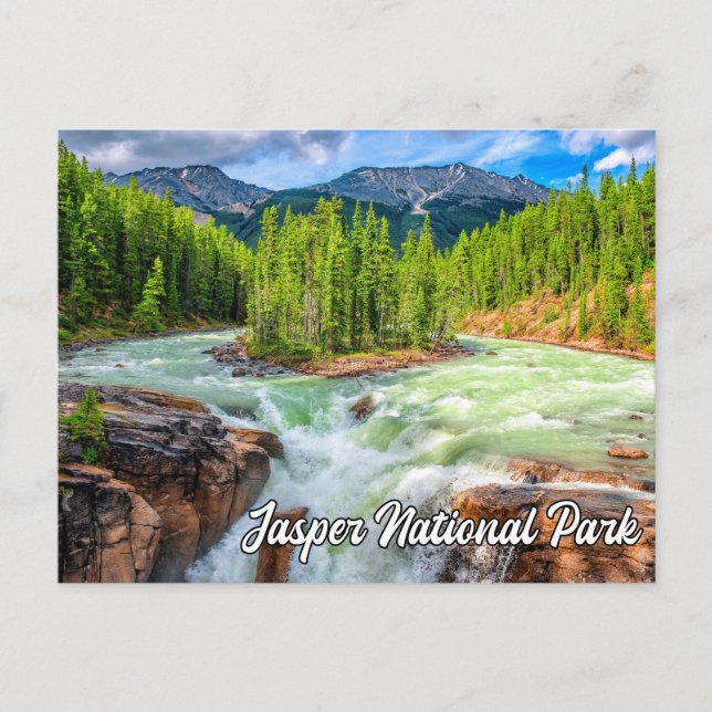 Sunwapta Falls, Jasper National Park Postcard (Front)