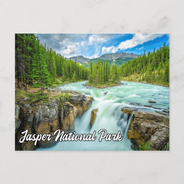 Sunwapta Falls, Jasper National Park Postcard (Front)