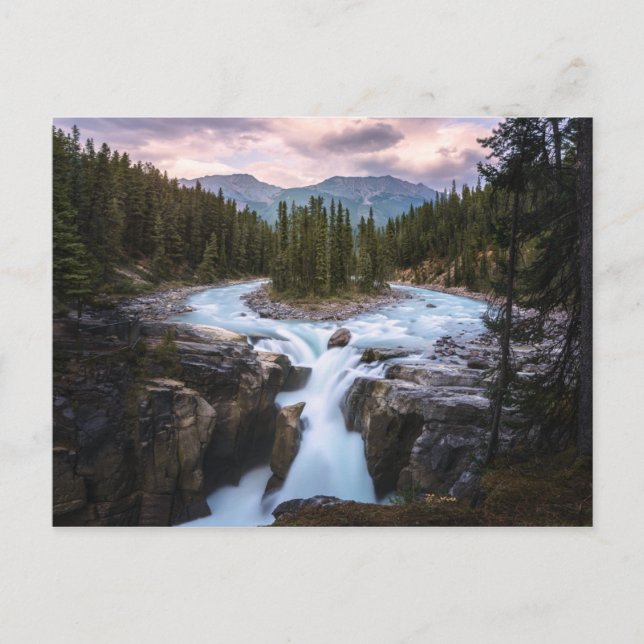 Sunwapta Falls |  Jasper National Park Postcard (Front)