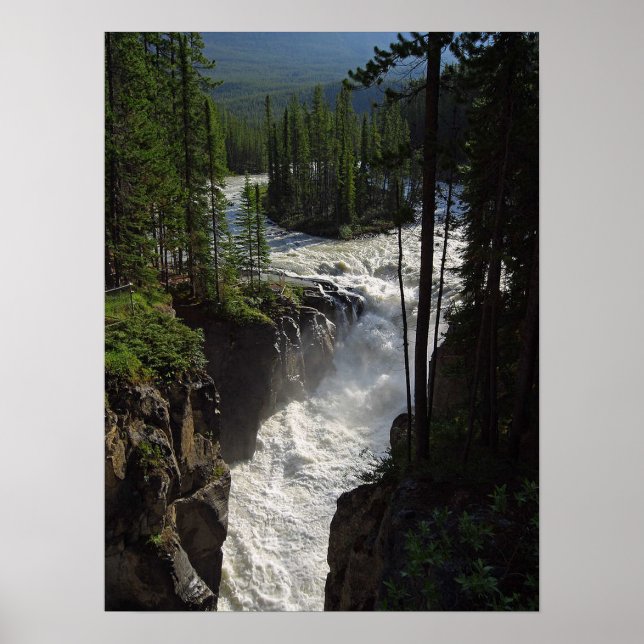 Sunwapta Falls Jasper National Park Poster (Front)