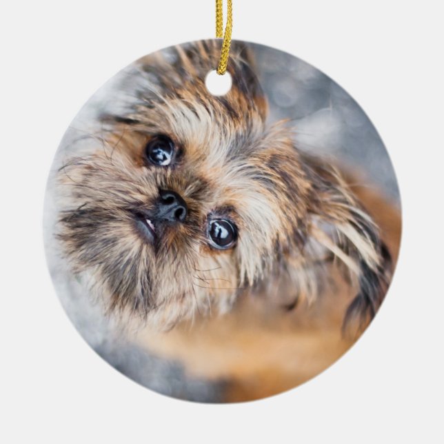 Sup Pup Rup Brussels Griffon Ornament (Front)