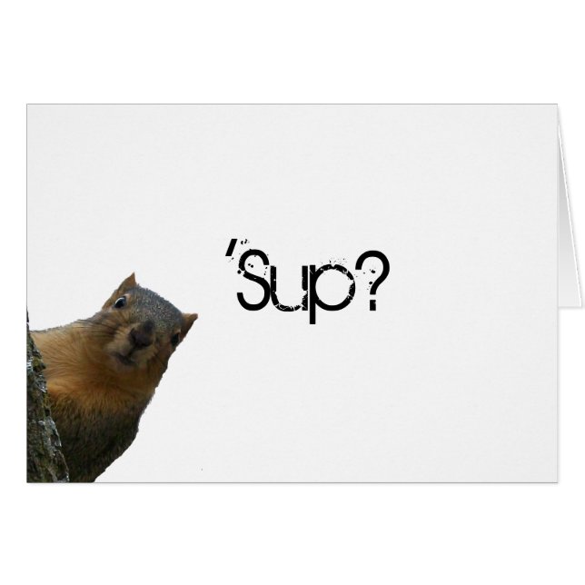 "'Sup?" Squirrel Behind Tree (Front Horizontal)