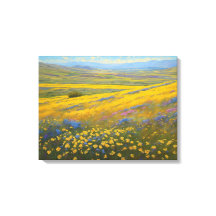 Super Blooms in California, Carrizo Plains