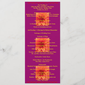 Super Cool Wedding program