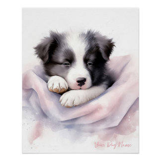 Super cute angel sleeping puppy Border Collie dog  Poster
