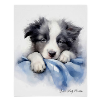 Super cute angel sleeping puppy Border Collie dog Poster