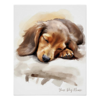 Super cute angel sleeping puppy Dachshund Dog 004  Poster