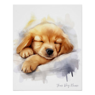 Super cute angel sleeping puppy Golden Retriever Poster