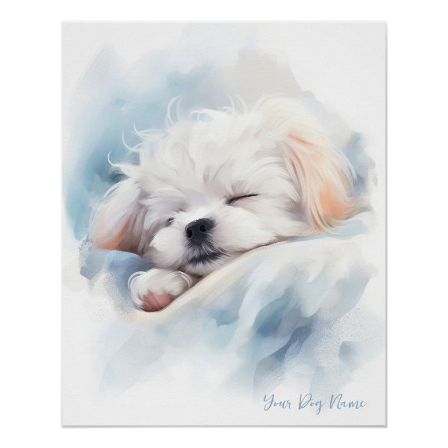 Super cute angel sleeping puppy Maltese Dog 003 Poster (Front)