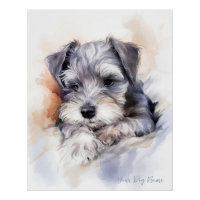 Super cute angel sleeping puppy Schnauzer Dog 003
