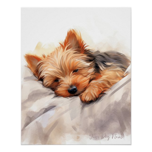 Super cute angel sleeping puppy Yorkshire Terrier  Poster (Front)