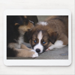 Super Cute Australian Shepherd Puppy Mouse Pad
