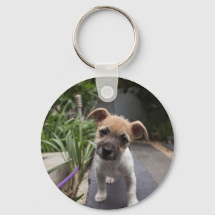 Super Cute Border Terrier puppy Key Ring