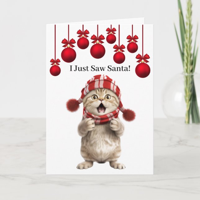Super Cute Cat Christmas Greeting Card (Front)