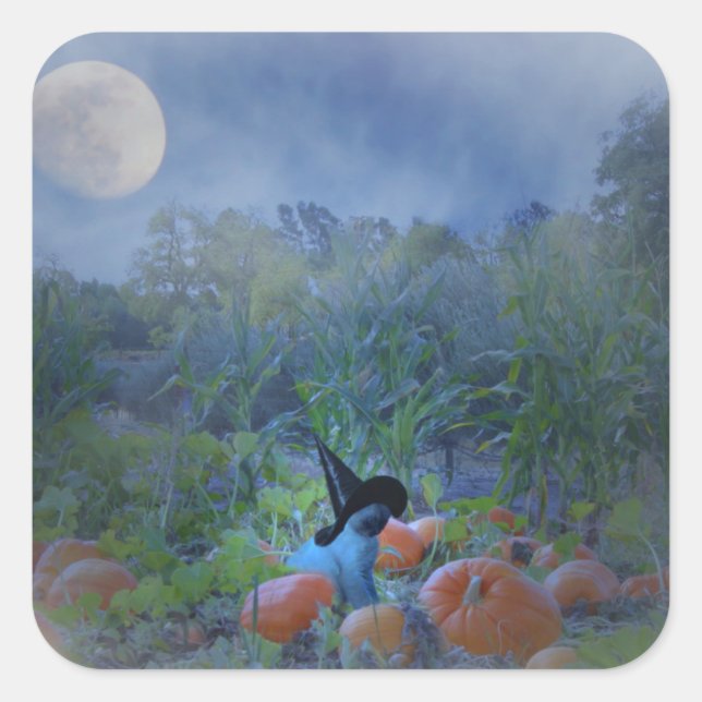 Super Cute Cat Halloween Pumpkin Patch Stickers (Front)