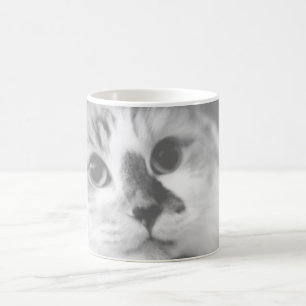 SUPER CUTE Cat Portrait Photograph Coffee Mug