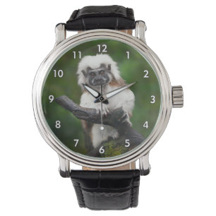 Super Cute Cotton Top Tamarin Primate Watch