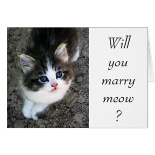 SUPER CUTE Customisable Wedding Proposal