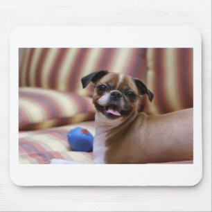 Super Cute dog with her favourite ball Mouse Pad