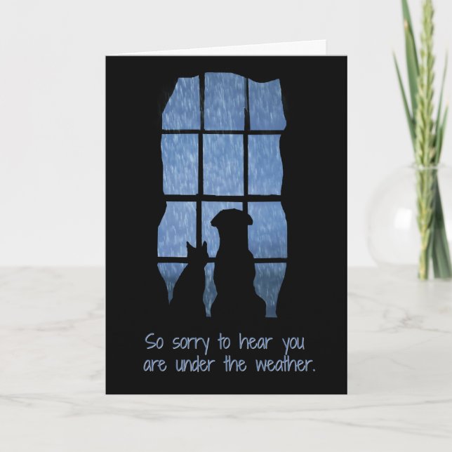 Super Cute Get Well Dog and Cat in the Window Card (Front)