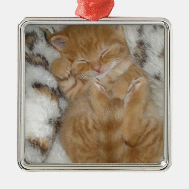 Super Cute Ginger Sleeping Kitten Metal Tree Decoration (Front)