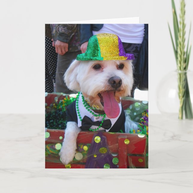 Super Cute Greeting Card! Card (Front)