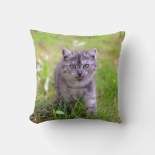 Super Cute Grey Kitten Photo Design Cushion