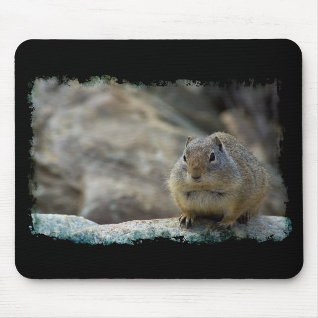 Super Cute Ground Squirrel Black Border Mouse Pad (Front)