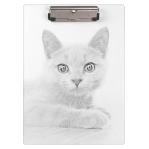 SUPER CUTE Kitten Cat Portrait Clipboard