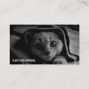 SUPER CUTE Kitten Photograph in Black and White Business Card