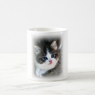 SUPER CUTE Kitten Portrait Photograph Coffee Mug