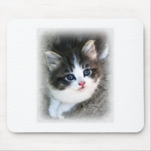 SUPER CUTE Kitten Portrait Photograph Mouse Pad