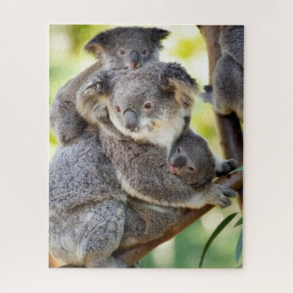 Super Cute Koala Wildlife Family Group Jigsaw Puzzle