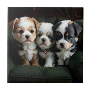 Super Cute Puppies on the Couch 2 Ceramic Tile