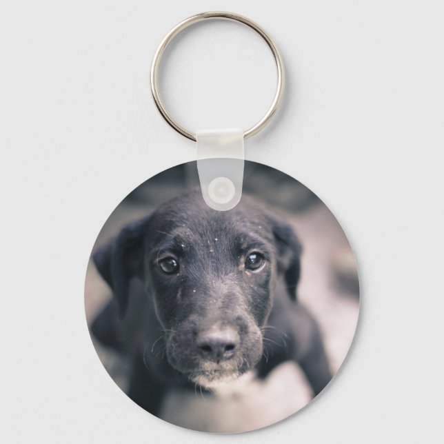 Super Cute Puppy Dog Key Ring (Front)