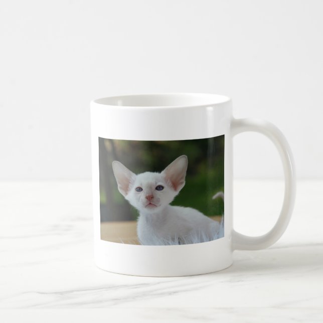 Super Cute Siamese Kitten Coffee Mug (Right)