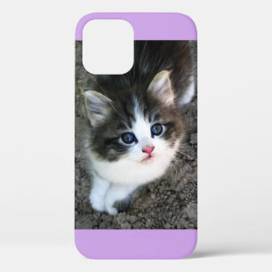 SUPER CUTE Stray Kitten iPhone 12 Case