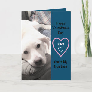 Super Cute Valentine's Day White Puppy Dog Blue Card