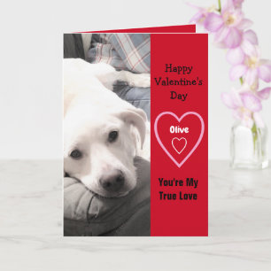 Super Cute Valentine's Day White Puppy Dog Red Card