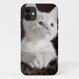 Super Cute White Kitten iPhone 11 Case