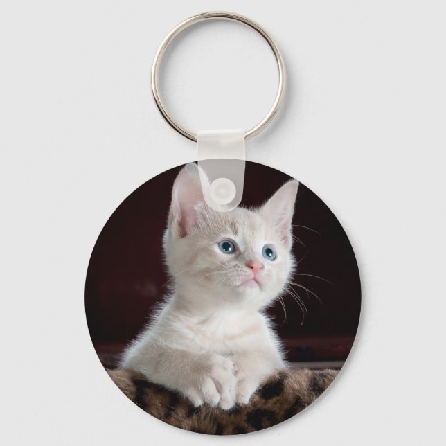 Super Cute White Kitten Key Ring (Front)