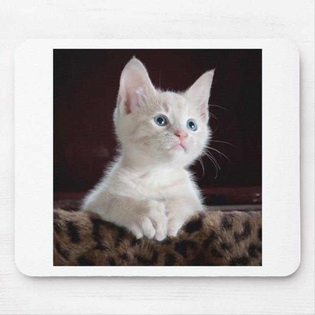 Super Cute White Kitten Mouse Pad (Front)