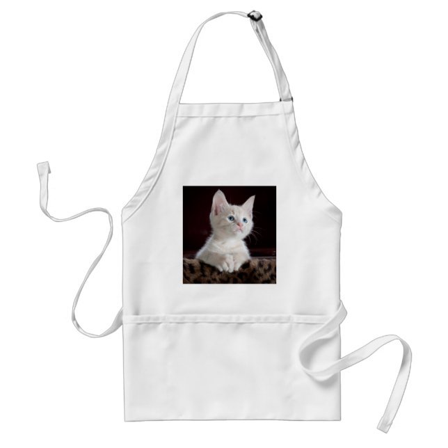 Super Cute White Kitten Standard Apron (Front)
