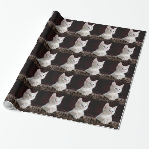 Super Cute White Kitten Wrapping Paper