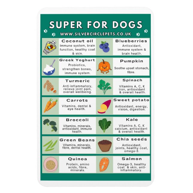 Super Foods for Dogs Fridge Magnet (Vertical)